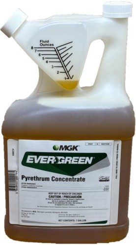 (image for) Evergreen Pyrethrum Insecticide - 1 Gallon - OMRI Certified